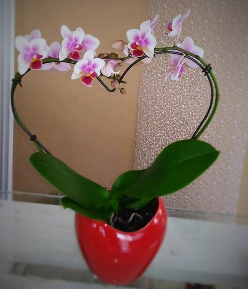 fiori compleanno
